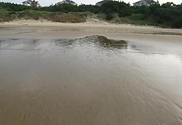 海灘圖片