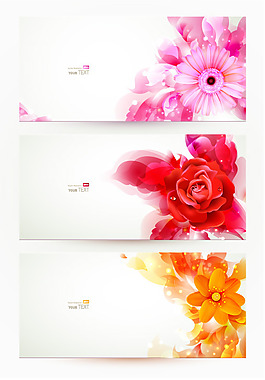 絢麗時尚花紋banner04—矢量素材