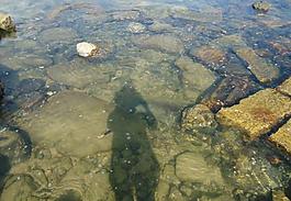 閘坡 海灘圖片
