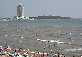青島海灘圖片