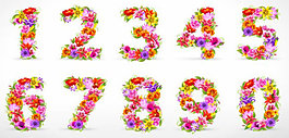 精美鮮花數(shù)字01——矢量素材