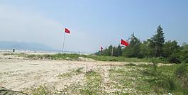 沙灘圖片
