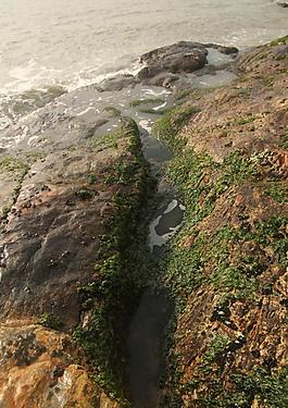 海岸圖片
