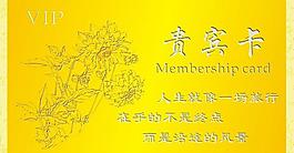 貴賓卡（飛楊系）圖片