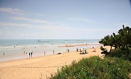 大海 沙灘 海灘圖片