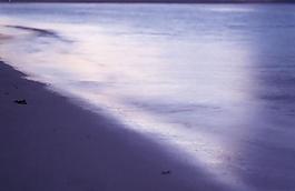 大海海灘圖片