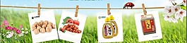 約會(huì)春天