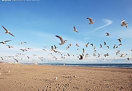 海滩海空图片