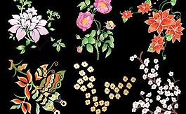 玫瑰与梅花图片