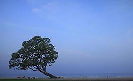 巴厘岛海滩美丽风光图片