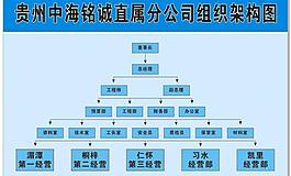 公司架構(gòu)圖圖片