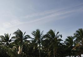 海南?？诩偃蘸┮訕鋱D片