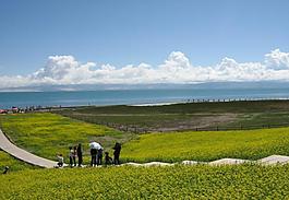 花海图片