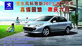 東風(fēng)標(biāo)致圖片