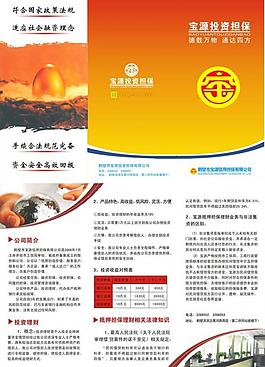 寶源投資擔(dān)保圖片