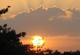 夕陽(yáng)圖片