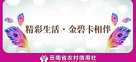 云南省農信社金碧卡圖片