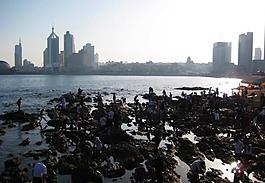 青島棧橋夏日午后圖片