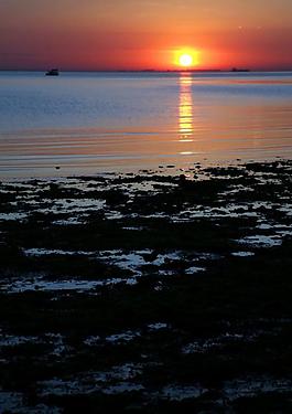 海岸日落圖片
