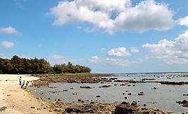 大海沙灘圖片