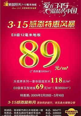 萊茵陽光地板315海報圖片