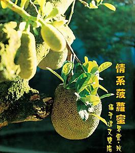 菠蘿蜜圖片