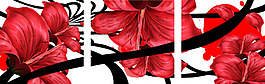 三聯(lián)紅花