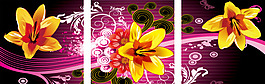 三聯(lián)黃花