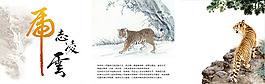 高清中國風無框畫老虎