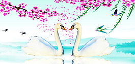 浪漫天鹅