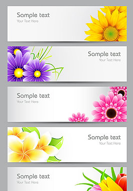 鮮花banner01—矢量素材