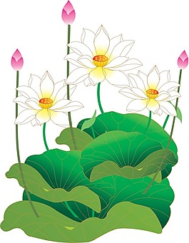 綠荷