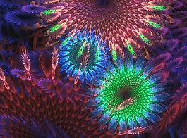 花紋