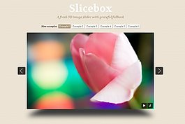Slicebox焦點圖3D切換jQuery代碼