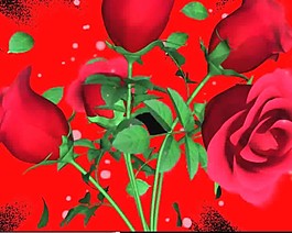 花朵轉(zhuǎn)場視頻素材素材下載
