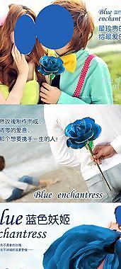 藍(lán)色妖姬玫瑰花圖片