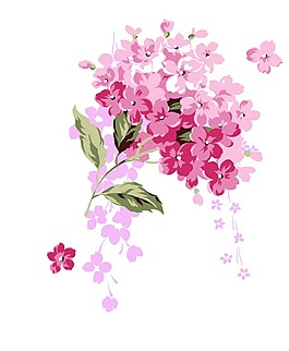 花紋插畫