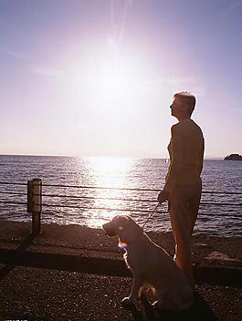 海邊夕陽下婦人和狗圖片