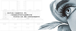 文化