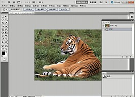 實(shí)戰(zhàn)用歷史記錄填充路徑區(qū)域