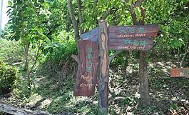 放雞島路標(biāo)圖片