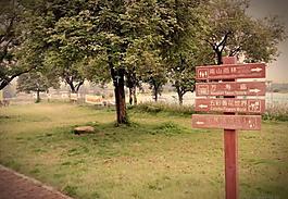 分道揚(yáng)鑣圖片