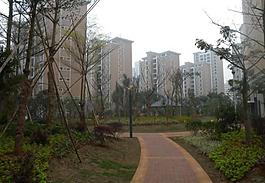 城市建筑圖片