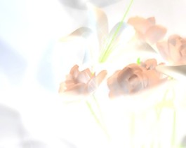 婚慶動(dòng)態(tài)背景素材素材下載