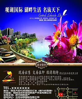 觀湖國際圖片