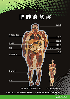 肥胖的危害