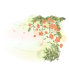 花框