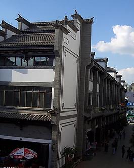 园博花鸟图片