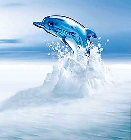 海豚