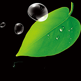 水珠水滴樹葉分層效果圖